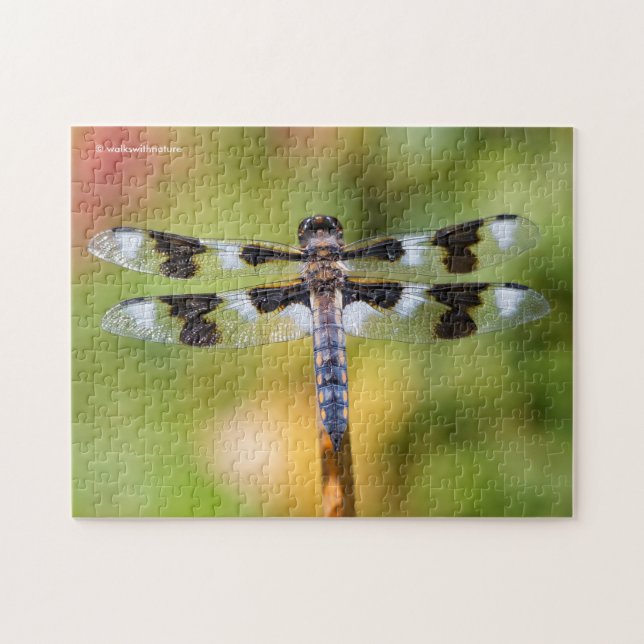 Eight-Spotted Skimmer Dragonfly Jigsaw Puzzle (Horizontal)