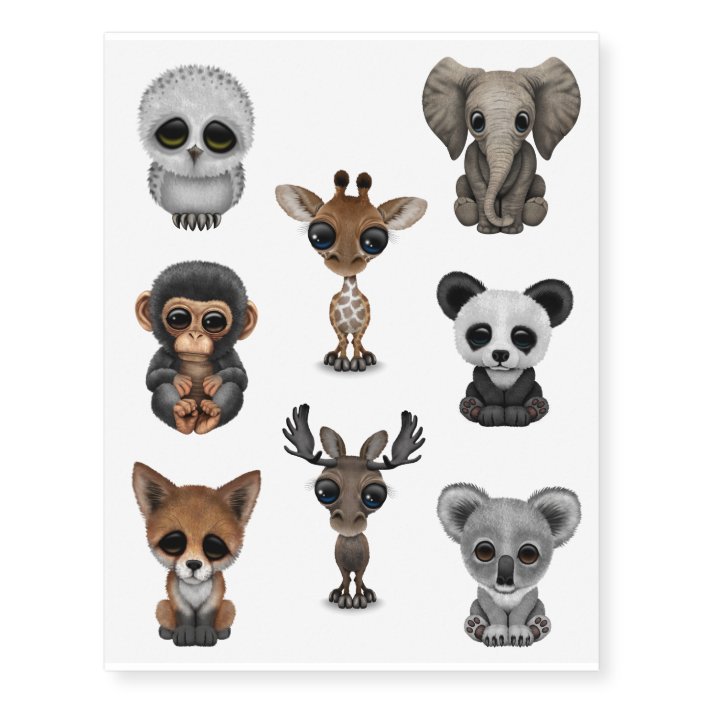 Eight Wild Animal Babies Collection Temporary Tattoos Zazzle Com