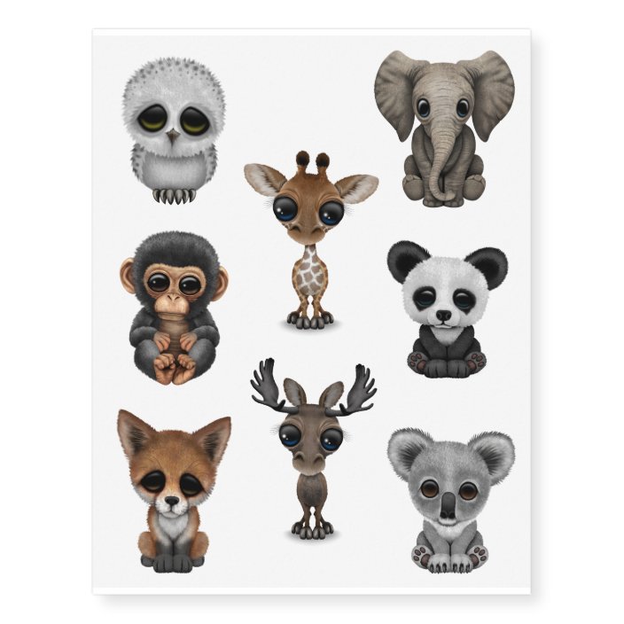 Eight Wild Animal Babies Collection Temporary Tattoos Zazzle Com Eight Wild Animal Babies Collection Temporary Tattoos Zazzle Com