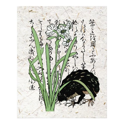 Eighteenth Century Japanese Botanical Frog Toad  Photo Print