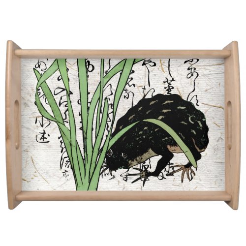 Eighteenth Century Japanese Botanical Frog Toad  Serving Tray
