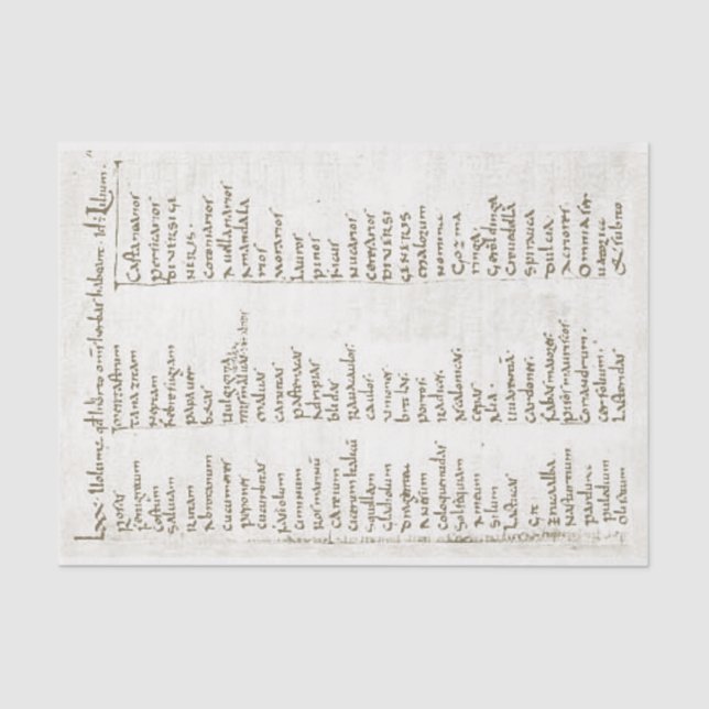 Eighth century garden plants tissue paper (Front)