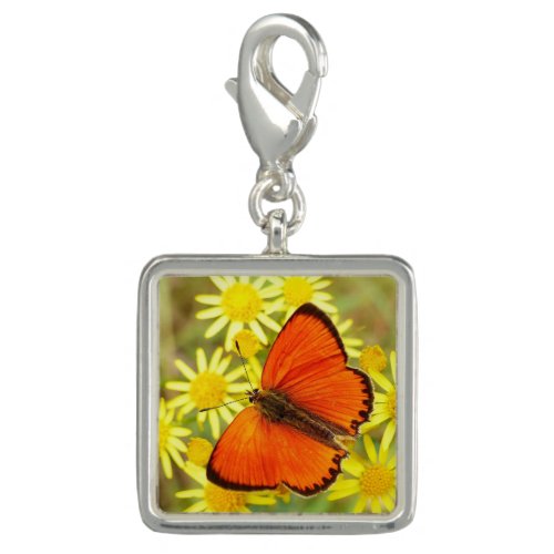 Eighth Wings Of Wonder Charm