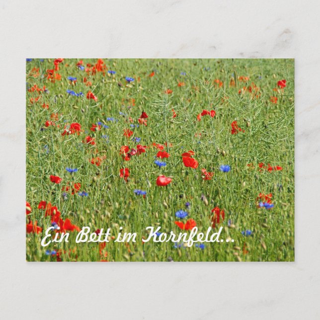 Ein Bett im Kornfeld... Postcard (Front)