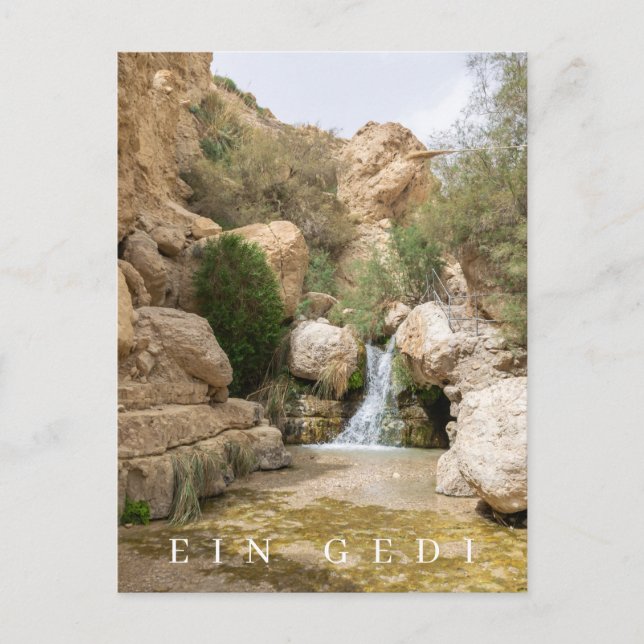 Ein Gedi Nature Reserve view postcard (Front)