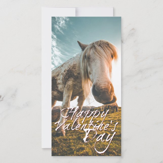 Einen schönen Valentinstag mit schauendem Pferd (Front)