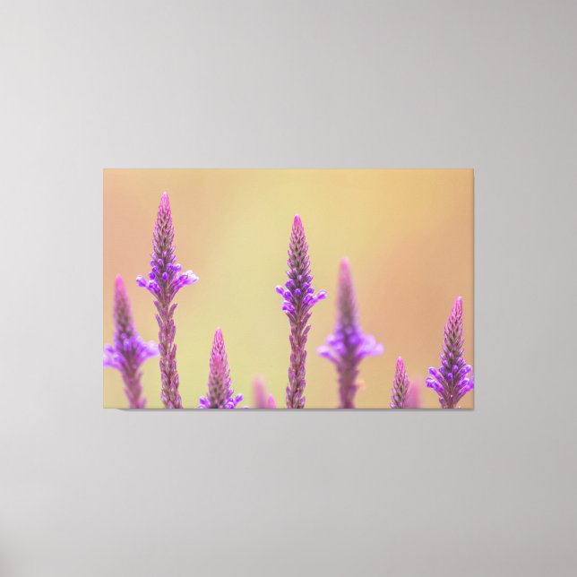 Einfach zum Träumen... Canvas Print (Front)