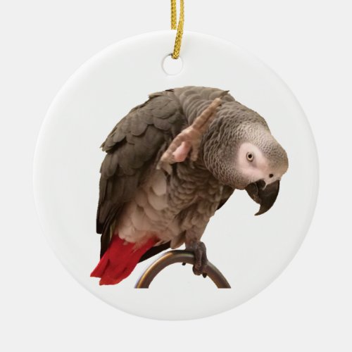 Einstein African Gray Parrot Waving Ceramic Ornament