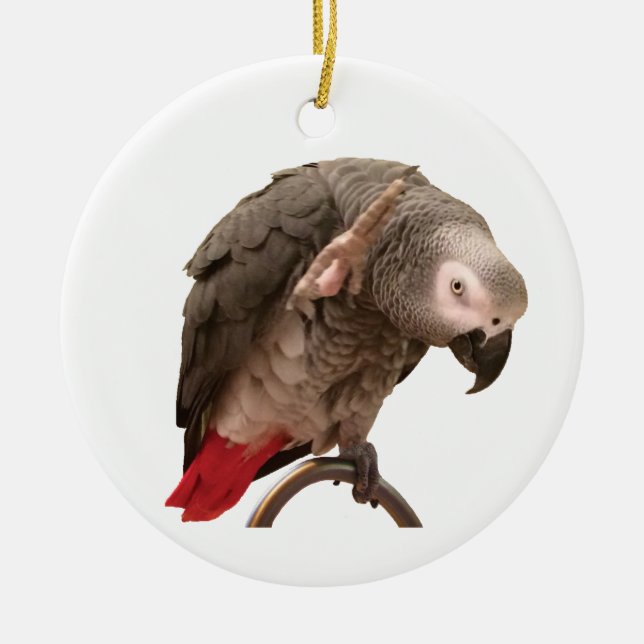 Einstein African Gray Parrot Waving Ceramic Ornament (Front)