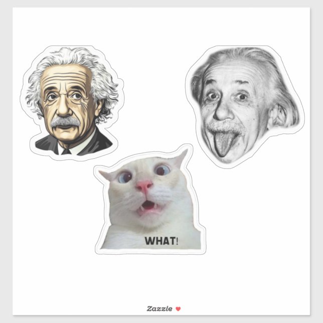 Einstein Genius & Hilarious Cat Sticker  (Sheet)