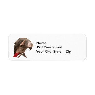 Einstein Parrot Waving Label