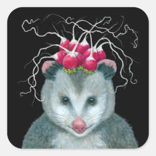 Einstein the opossum stickers