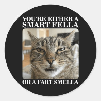 Either a Smart Fella or a Fart Smella Funny Cat Classic Round Sticker