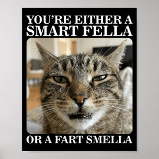 Either a Smart Fella or a Fart Smella Funny Cat Poster