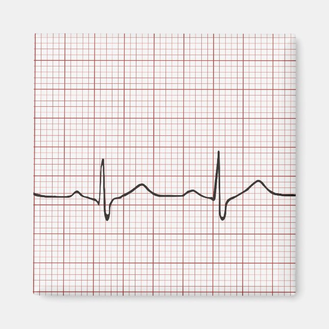 EKG heartbeat on graph paper, PhD (doctor) pulse Magnet (Front)
