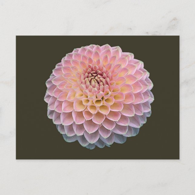 Eklat Postcard (Front)