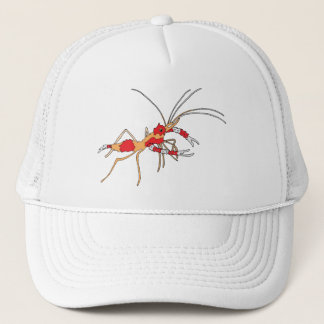 ekos shrimp cap