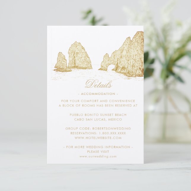 El Arco Cabo San Lucas Kindly Reply | Meal Options RSVP Card (Standing Front)