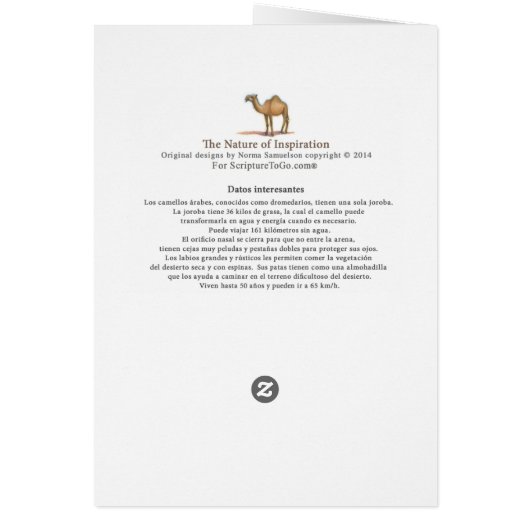 El Camello, tarjeta (Back)