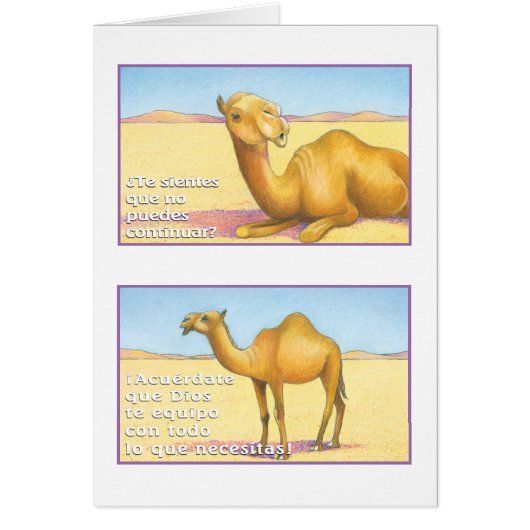 El Camello, tarjeta (Front)