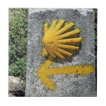 El Camino de Santiago de Compostela, Spain, shell Ceramic Tile<br><div class="desc">El Camino de Santiago de Compostela,  Spain,  shell</div>