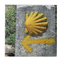 El Camino de Santiago de Compostela, Spain, shell