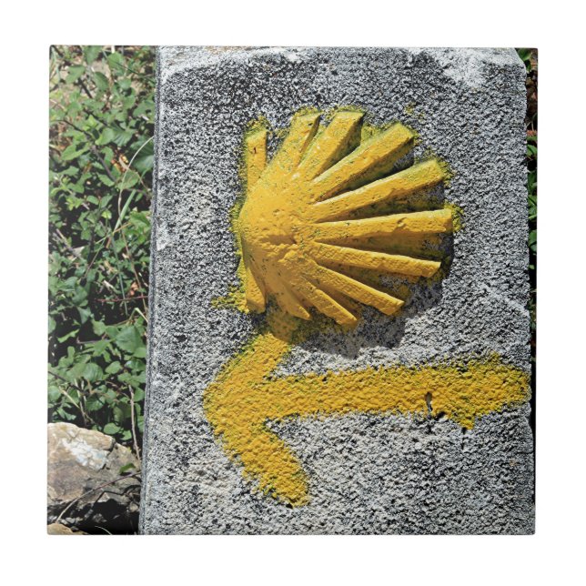 El Camino de Santiago de Compostela, Spain, shell Ceramic Tile (Front)