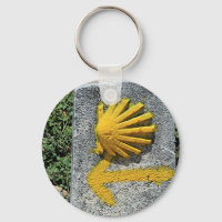 El Camino de Santiago de Compostela, Spain, shell