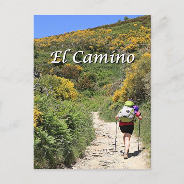 El Camino de Santiago de Compostela, Spain, trail Postcard (Front)
