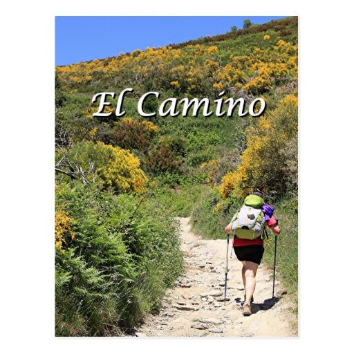 El Camino de Santiago de Compostela, Spain, trail Postcard | Zazzle