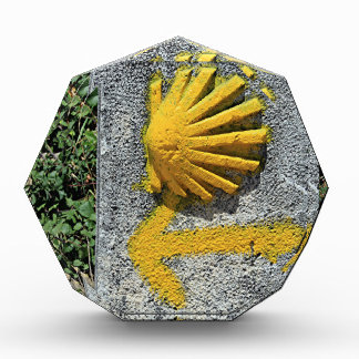 El Camino shell and arrow sign, Spain Award