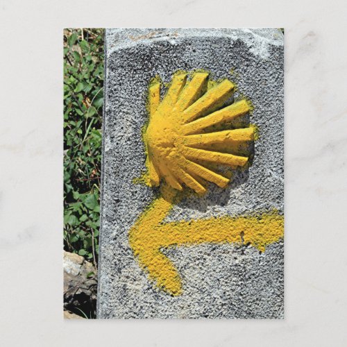 El Camino shell and arrow sign Spain Postcard