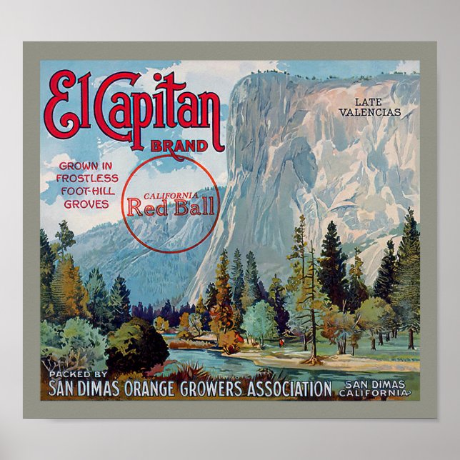El Capitan Brand San Dimas Oranges Fruit Label Poster (Front)
