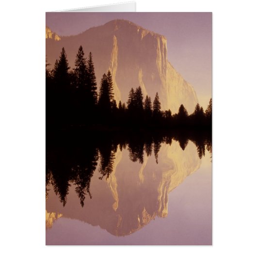 El Capitan Cards (Front)