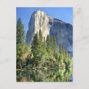 El capitan Over the Merced River - Yosemite Valley Postcard