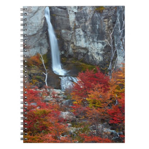 El Chorrillo Waterfall  Patagonia Argentina Notebook