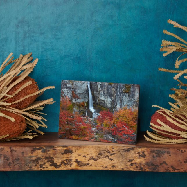El Chorrillo Waterfall | Patagonia, Argentina Plaque (Side)