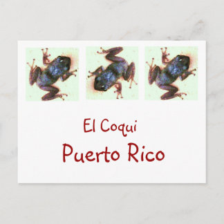 El Coqui Puerto Rico Post Card