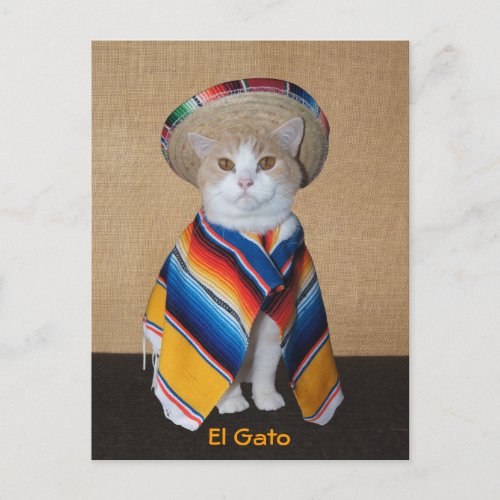 El Gato Cat in Sombrero and Serape Postcard