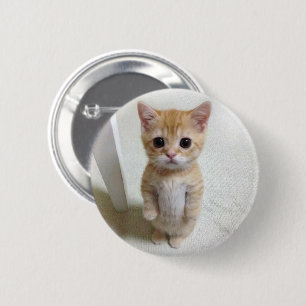 El Gato Cat Meme Pin Button