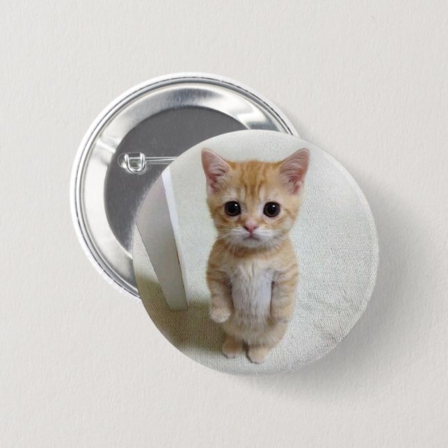 El Gato Cat Meme Pin Button (Front & Back)
