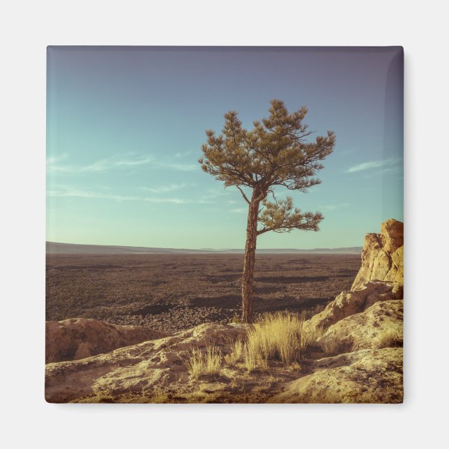 El Malpais National Monument Magnet (Front)