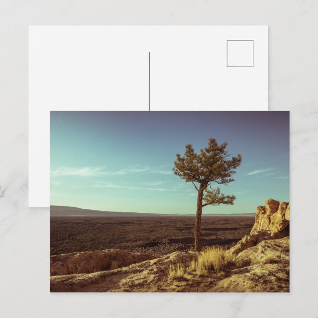 El Malpais National Monument Postcard (Front/Back)