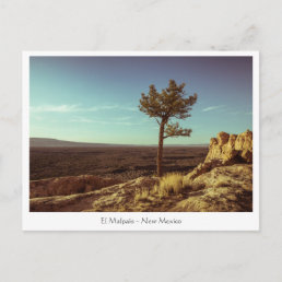 El Malpais National Monument Postcard