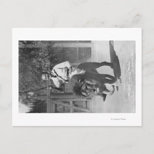 El Monte, CA Gay's Lion Farm - Mr. Gay riding Postcard (Front)