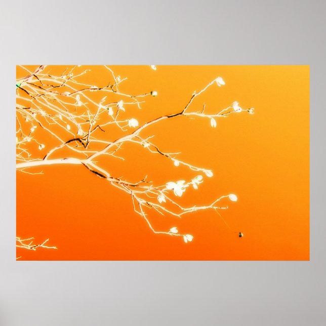 El Paso Poster (Front)