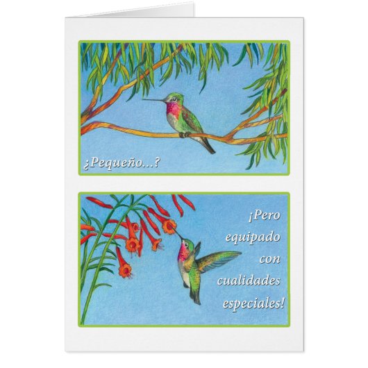 El Picaflor, tarjeta Cards (Front)