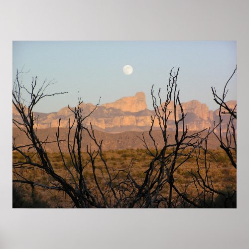 El Pico Moonrise _ Big Bend Texas Poster