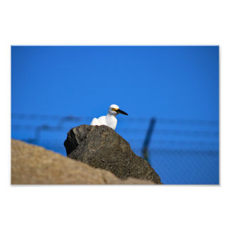 El Porto Manhattan Beach Photo Print