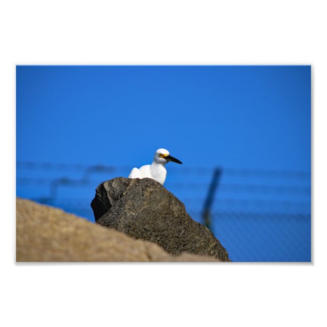 El Porto Manhattan Beach Photo Print (Front)